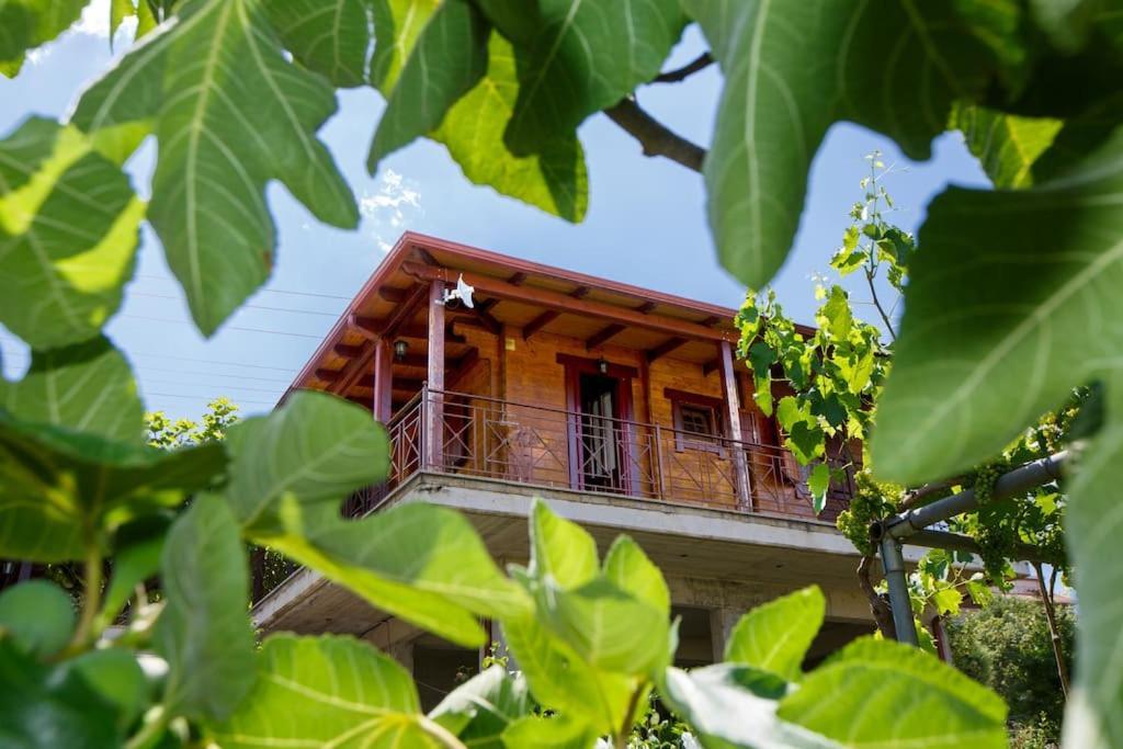 Ferienwohnung Wooden House In Ioannina Exterior foto