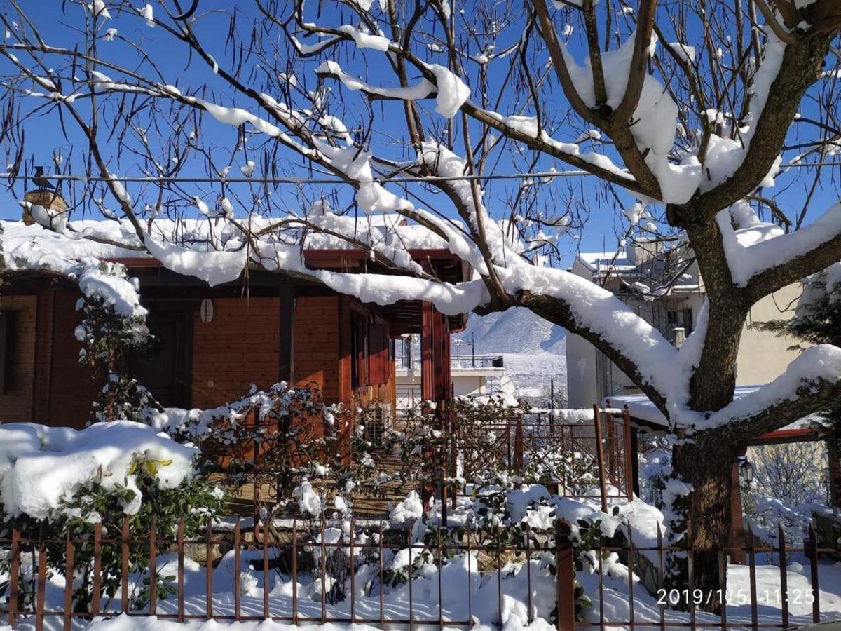 Ferienwohnung Wooden House In Ioannina Exterior foto